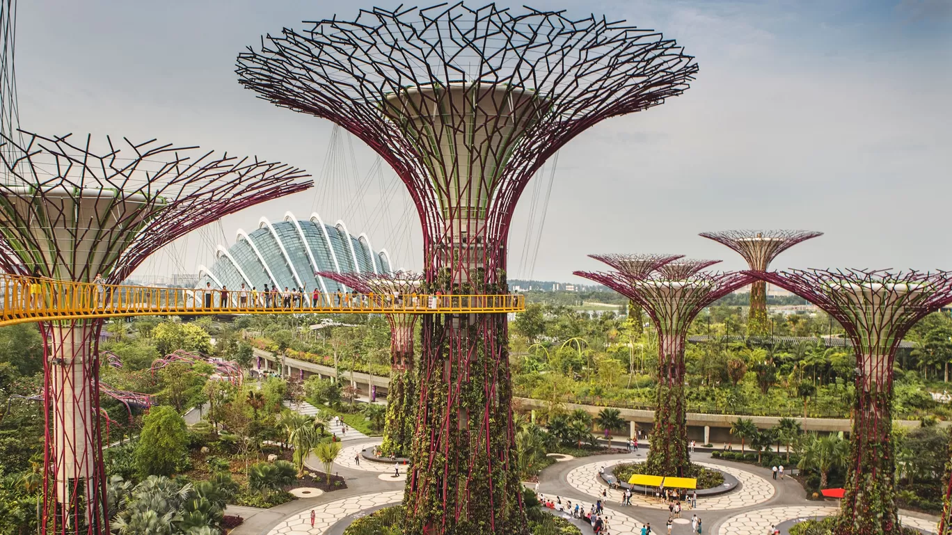 Photo of Singapore By Payal Dedhia