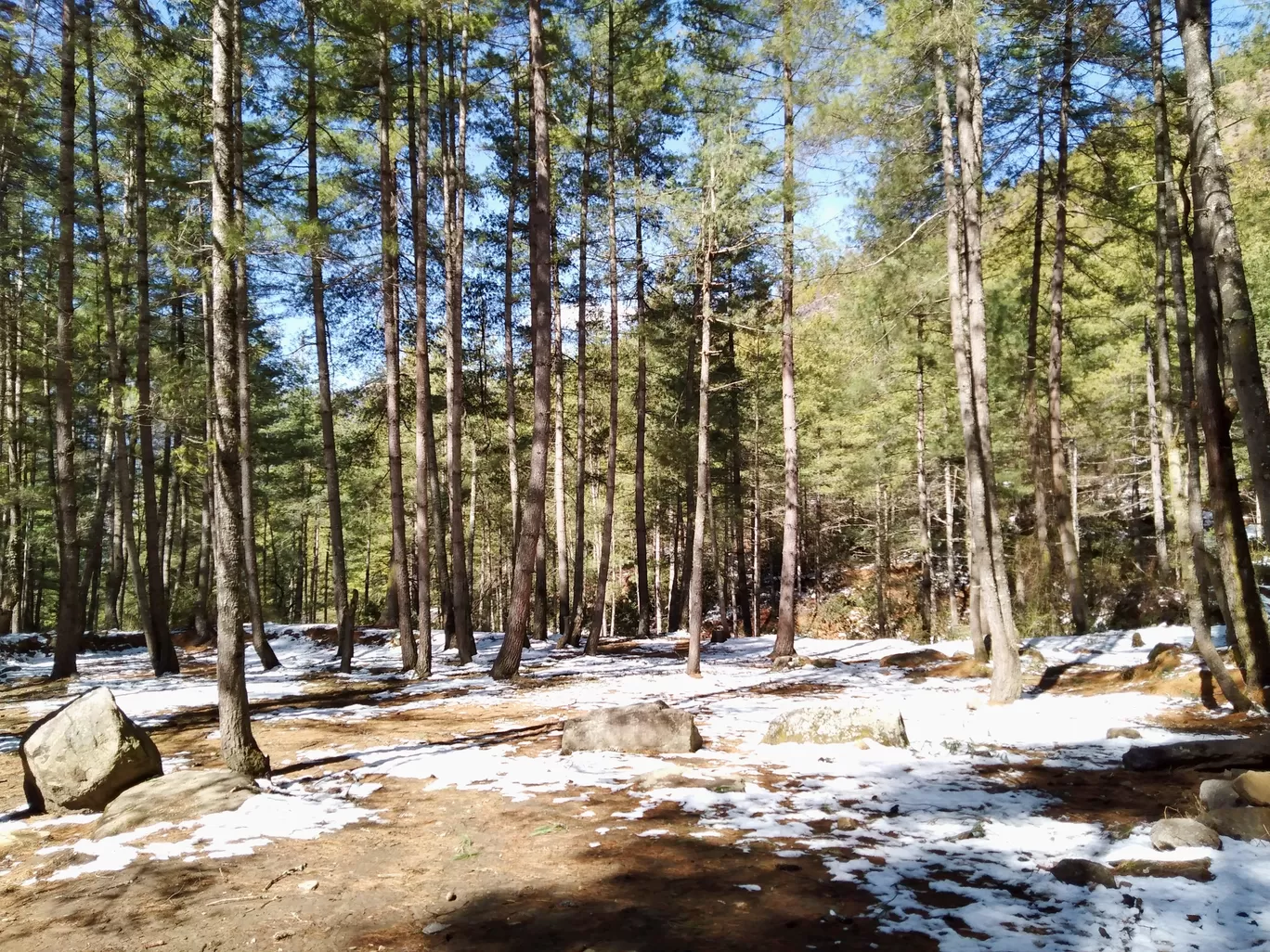 Photo of Taktshang By The traveller Cook