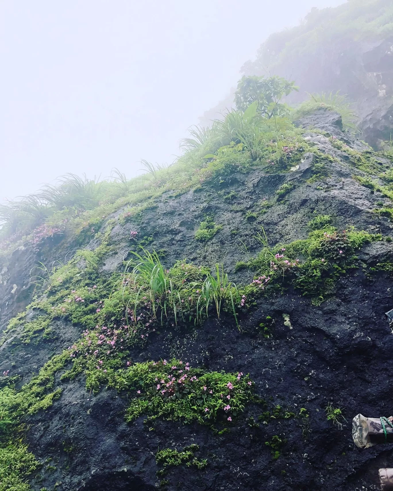 Photo of Sinhagad Fort By Savitha Narasimhaiah