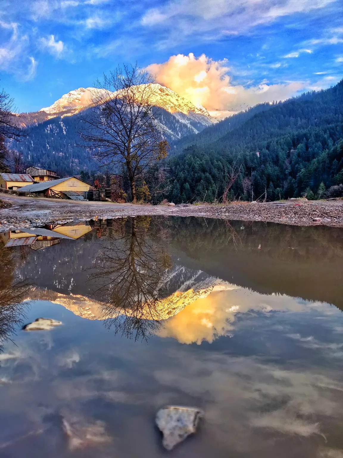 Photo of Auli Laga Joshimath By arvind patwal