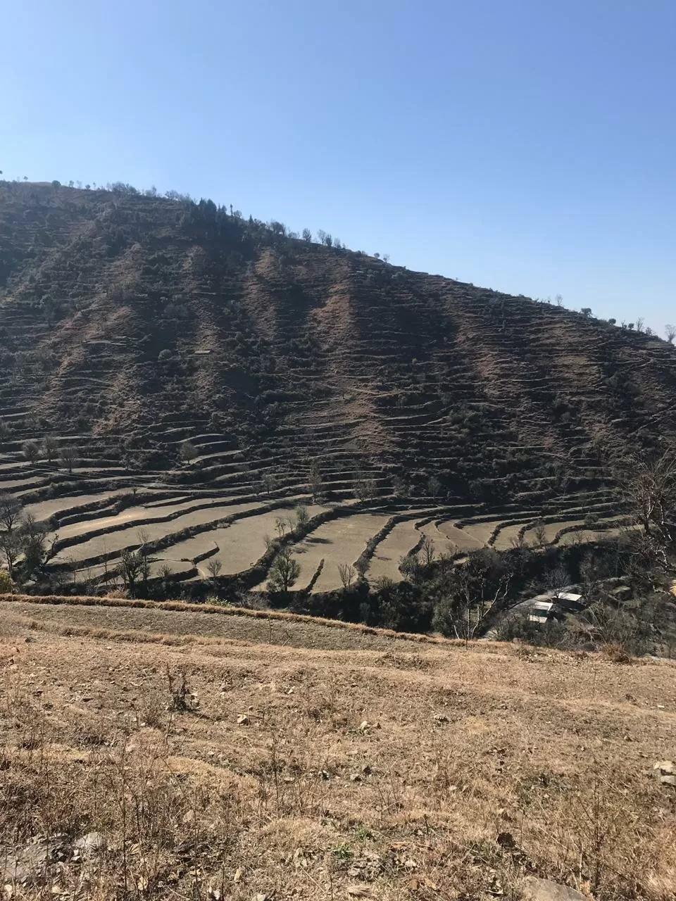 Photo of Nag Tibba Trek By Sureena Chaudhary
