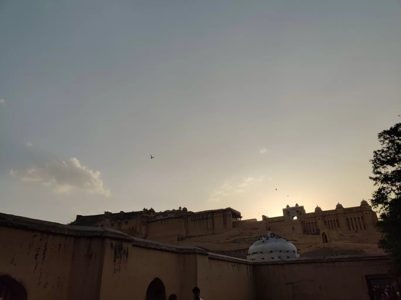 Photo of Amer Fort By Dherya Jain