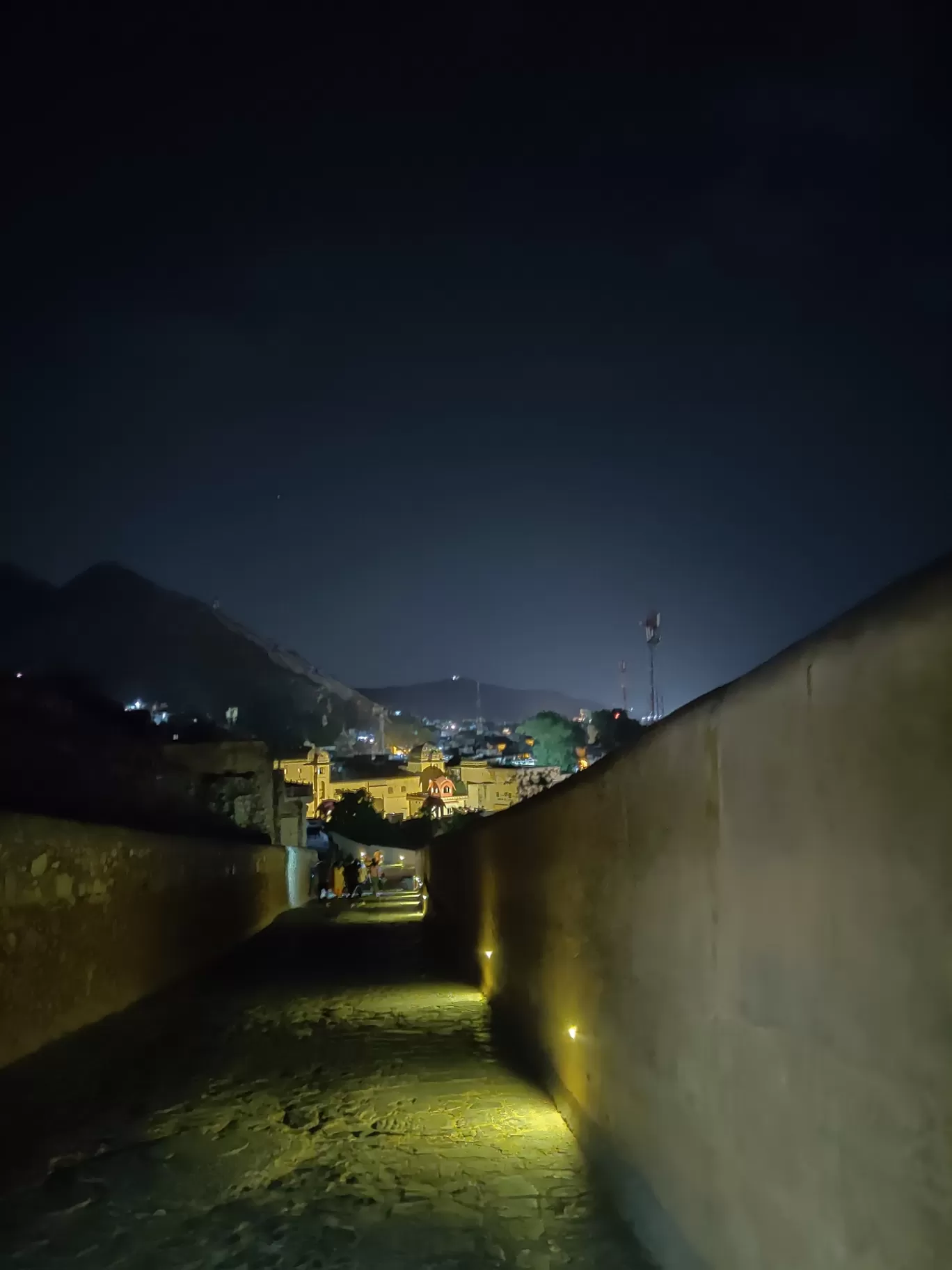 Photo of Amer Fort By Dherya Jain