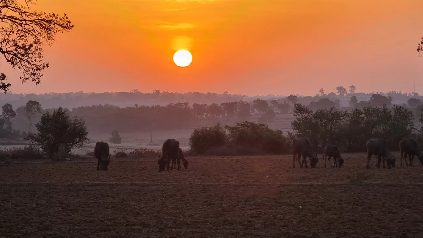 Photo of Mainpat By Vipin Baid