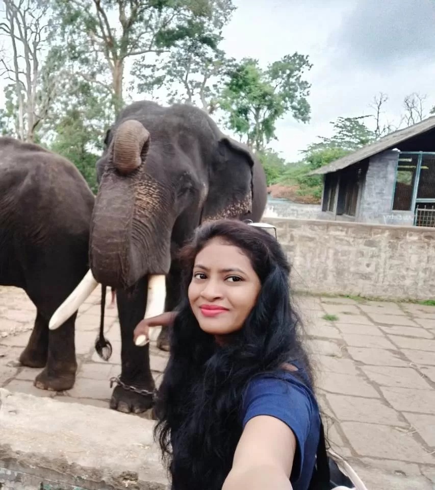 Photo of Dubare Elephant Camp & River Rafting Coorg Contact number By Bhavnaa Kumari