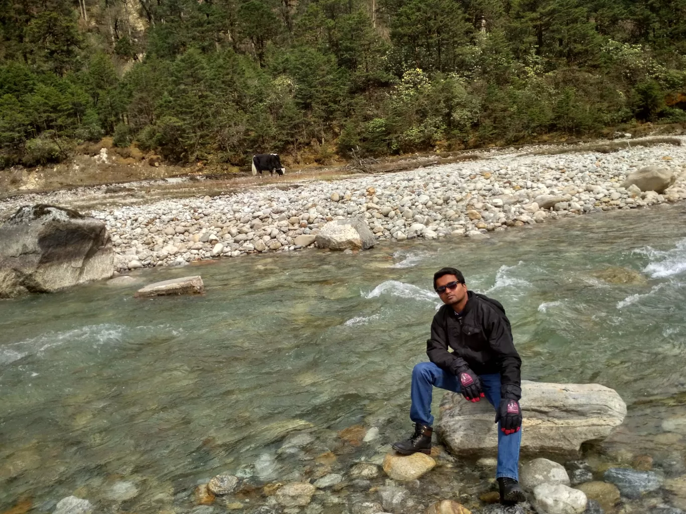Photo of Lachung By Manish