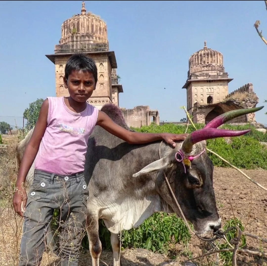 Photo of Orchha By Amit Saxena