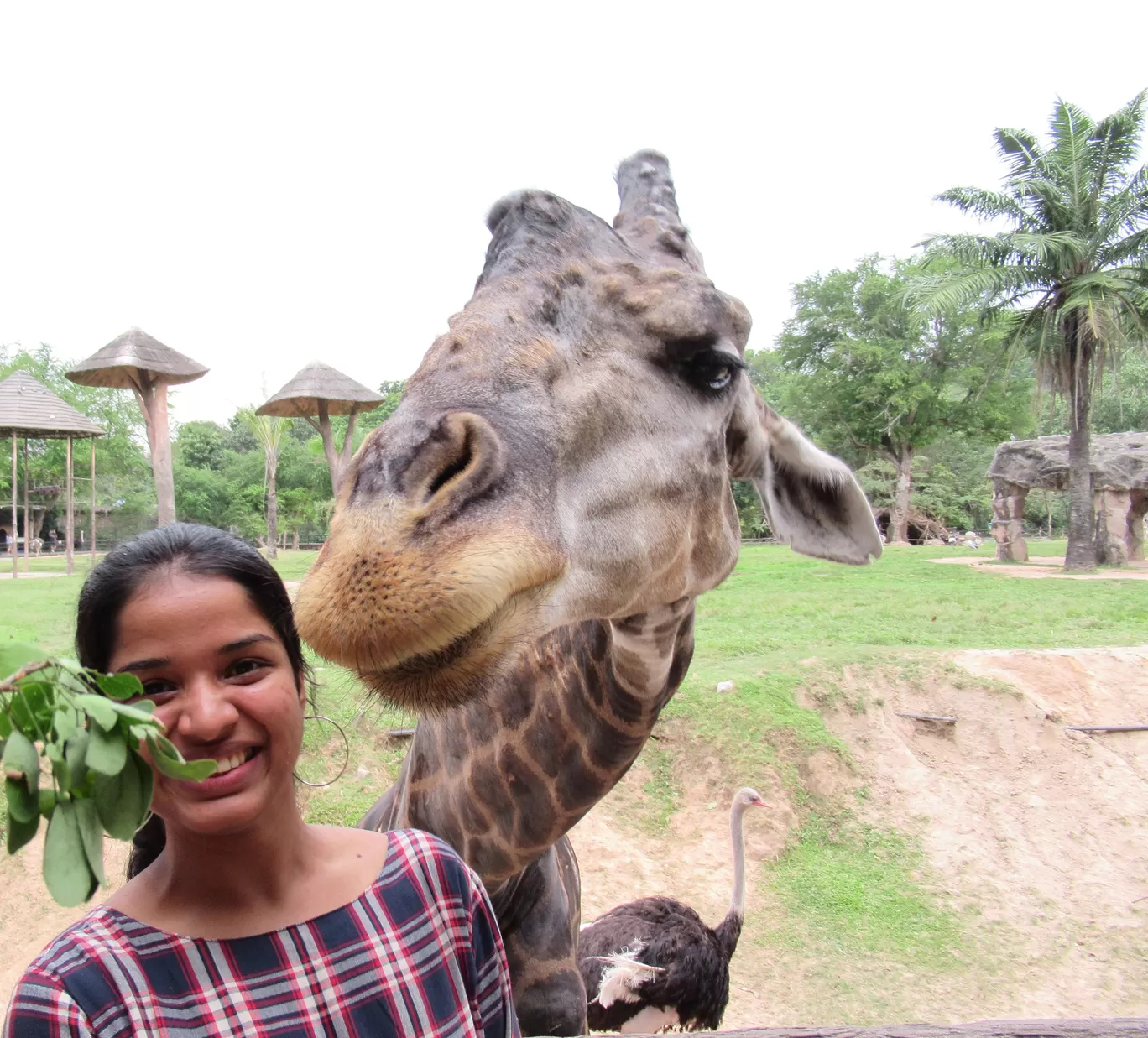 Photo of Khao Kheow Open Zoo By Aju Thottungal