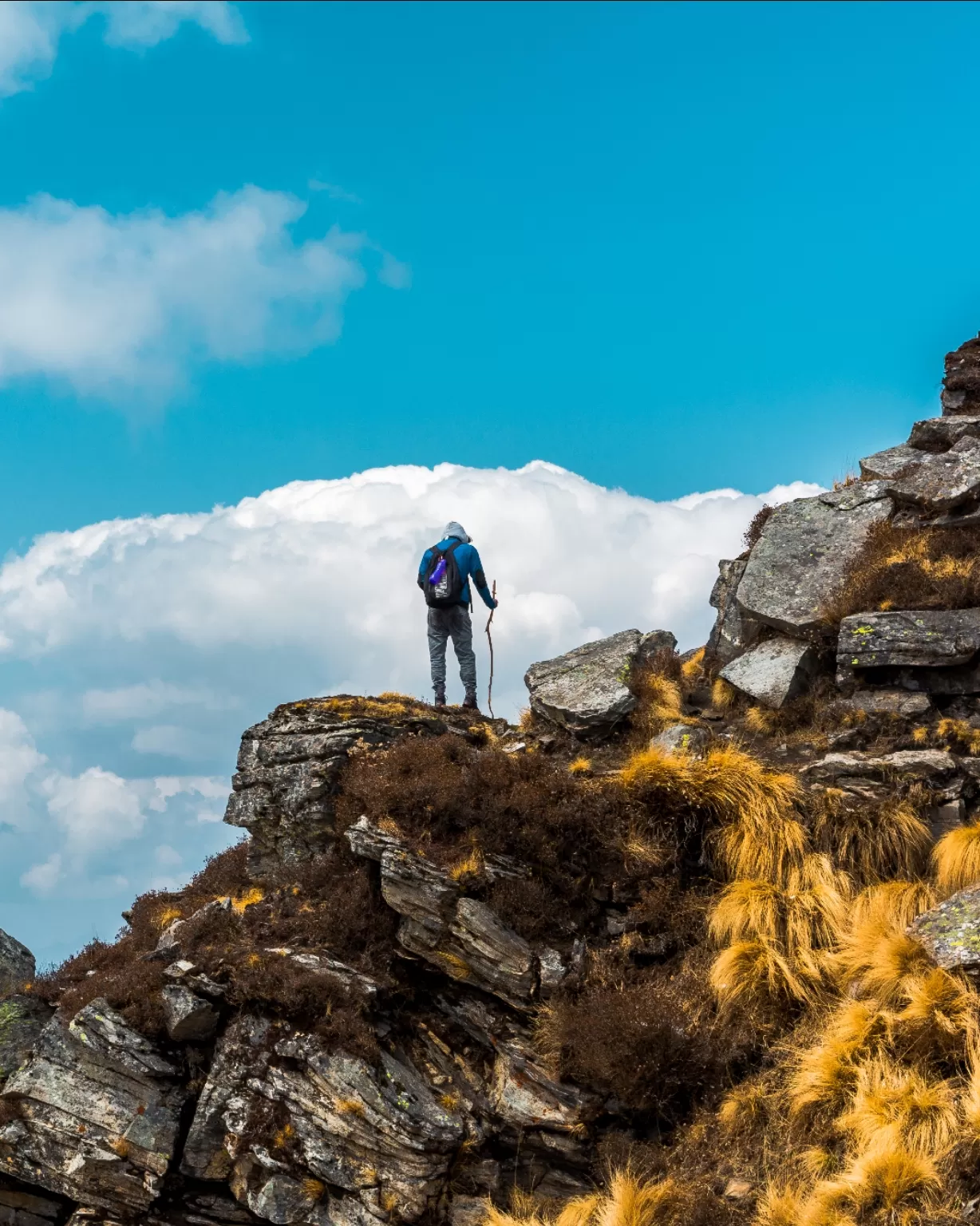 Photo of Kuari Pass Trek By Abhimanyu Dalal