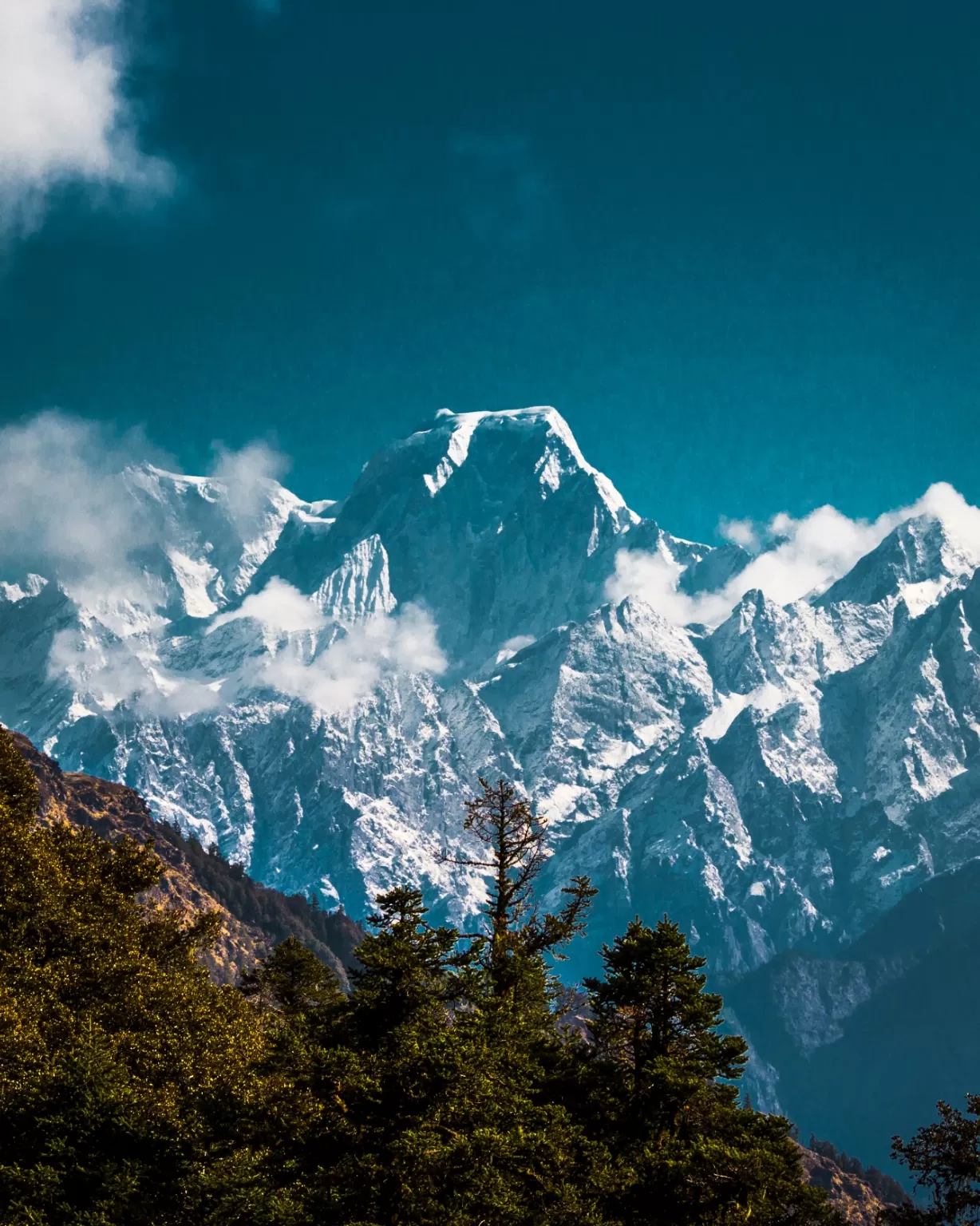 Photo of Kuari Pass Trek By Abhimanyu Dalal