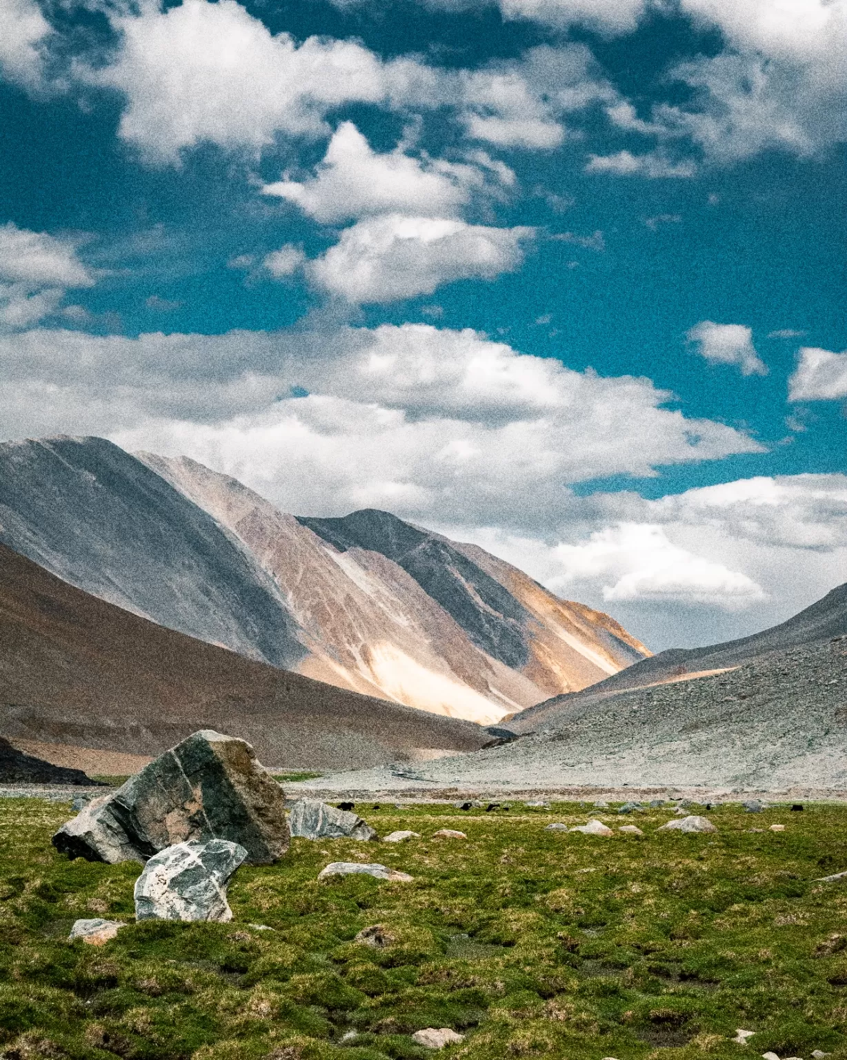 Photo of Ladakh By Abhimanyu Dalal
