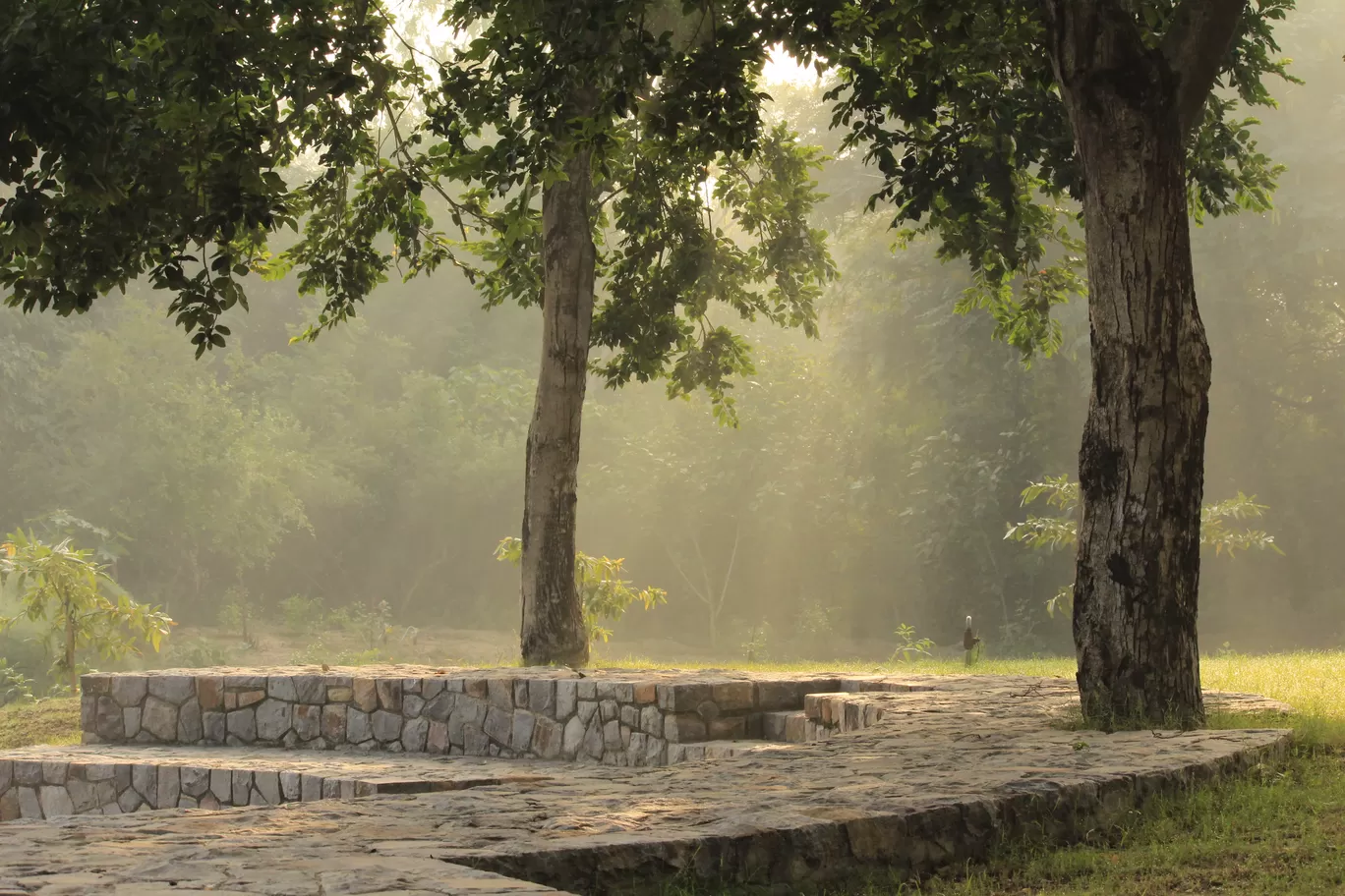 Photo of Sunder Nursery By Tushar Kanti Paul