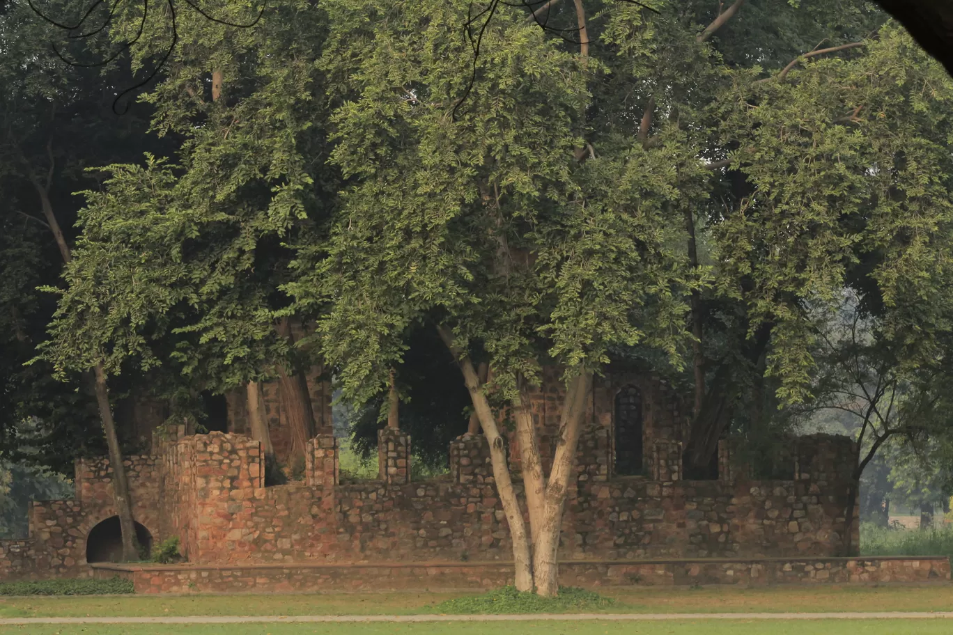 Photo of Sunder Nursery By Tushar Kanti Paul