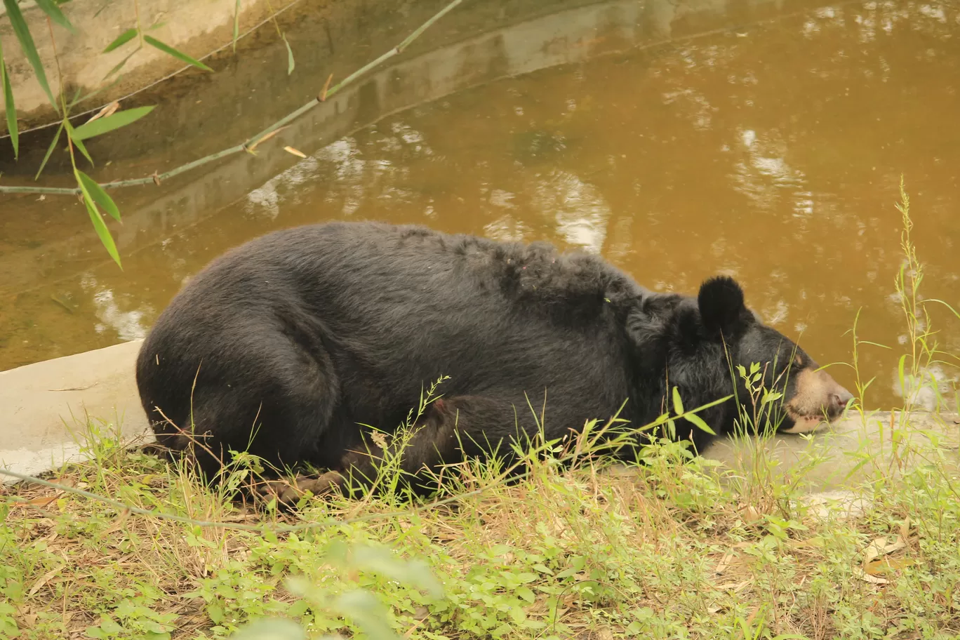 Photo of SajjanGarh Biological Park By Tushar Kanti Paul