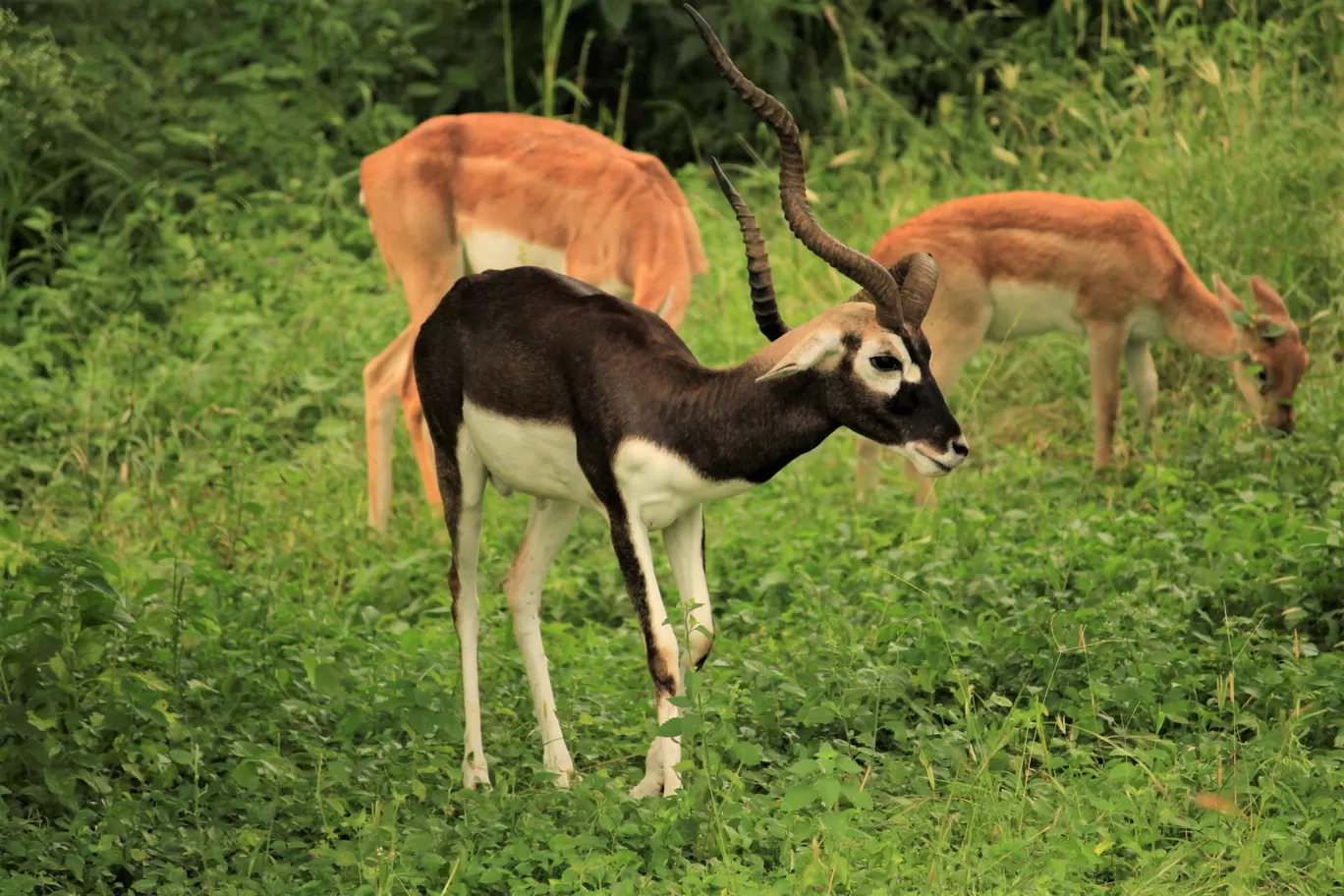 Photo of SajjanGarh Biological Park By Tushar Kanti Paul