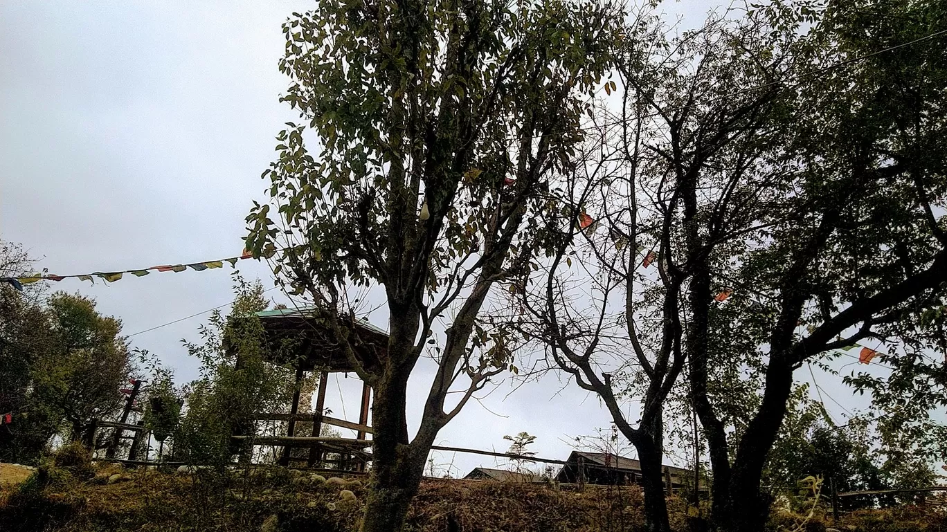 Photo of Monkey Mud Cafe & Camps By Tushar Kanti Paul