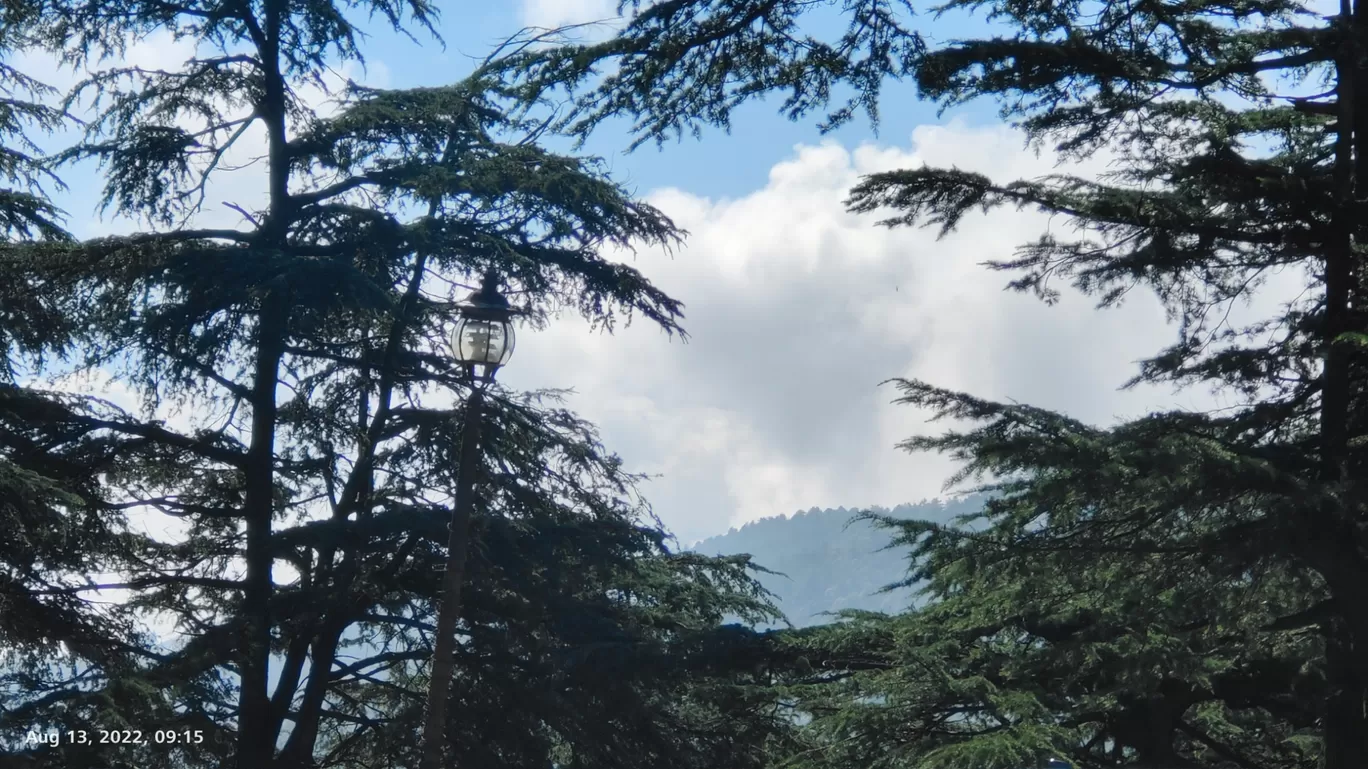 Photo of Chail Palace By Tushar Kanti Paul