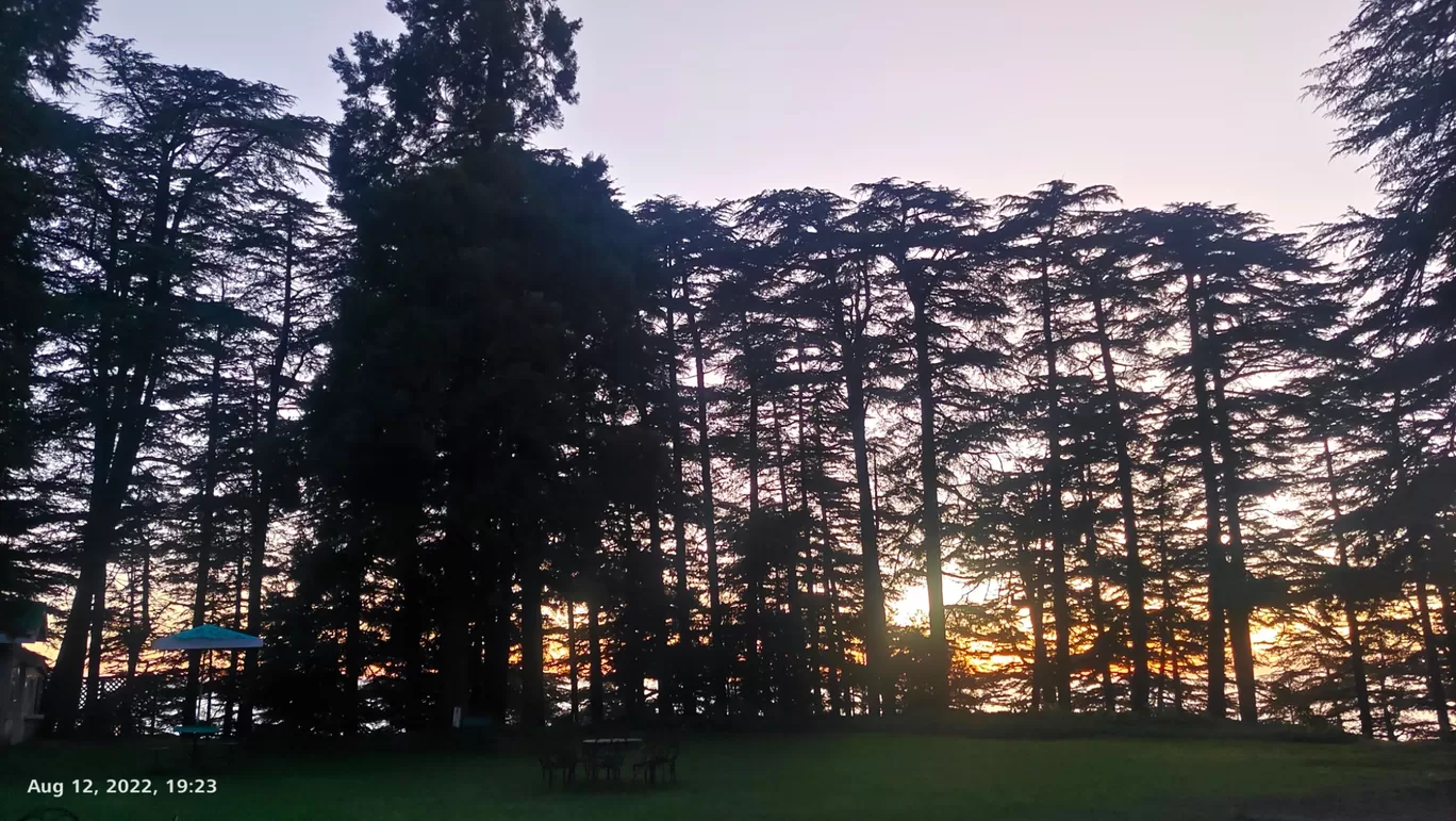 Photo of Chail Palace By Tushar Kanti Paul