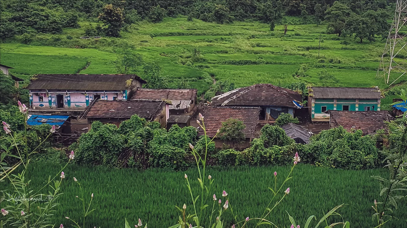 Photo of Vasind By Digital Nomad