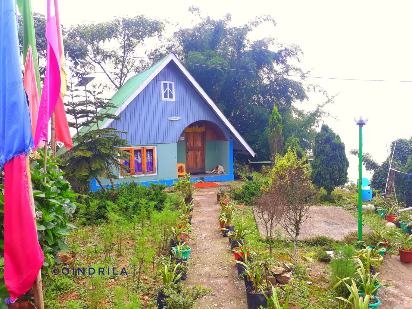 Photo of Jhandi Eco Hut By Travel Freak