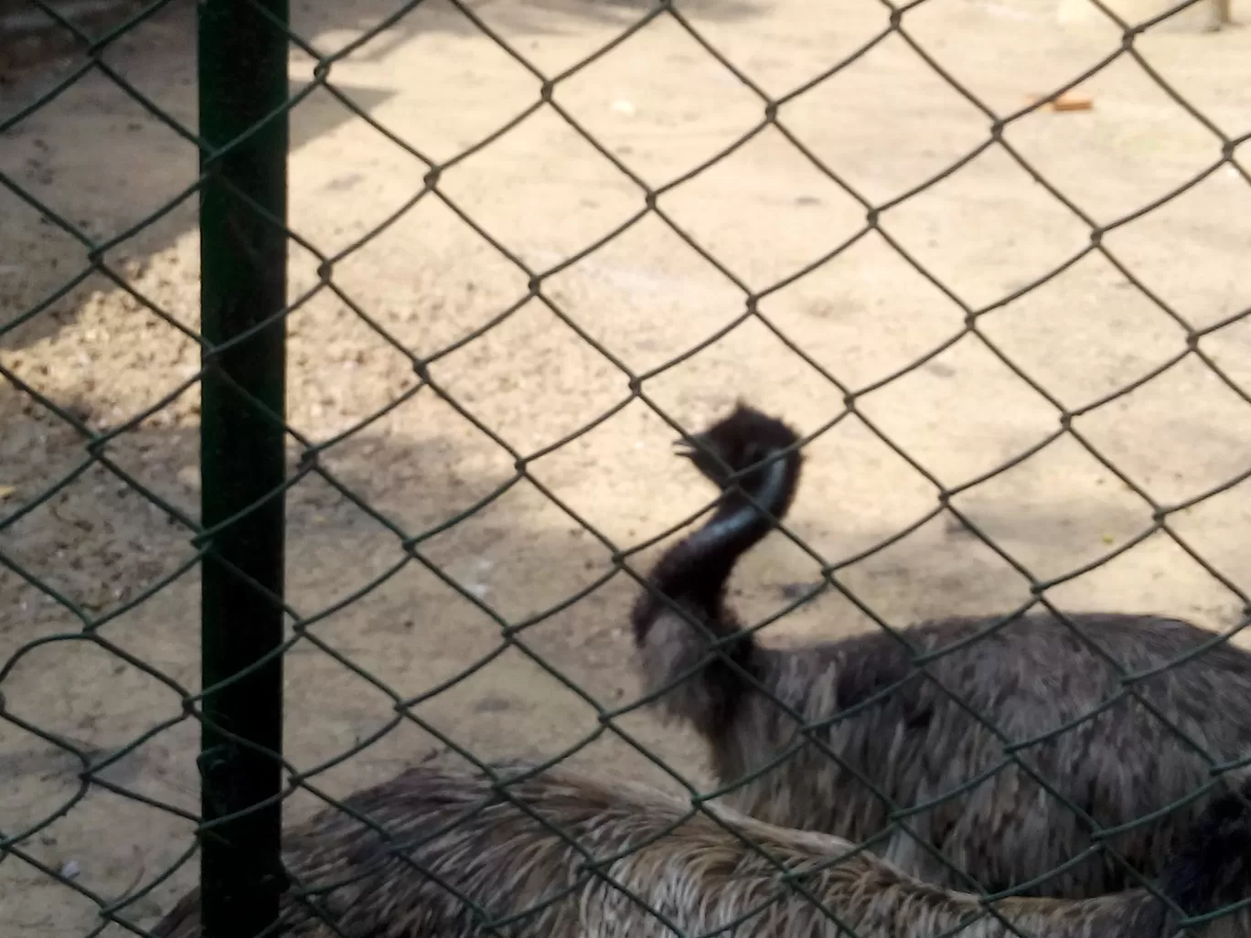 Photo of Bannerghatta Biological Park By So An