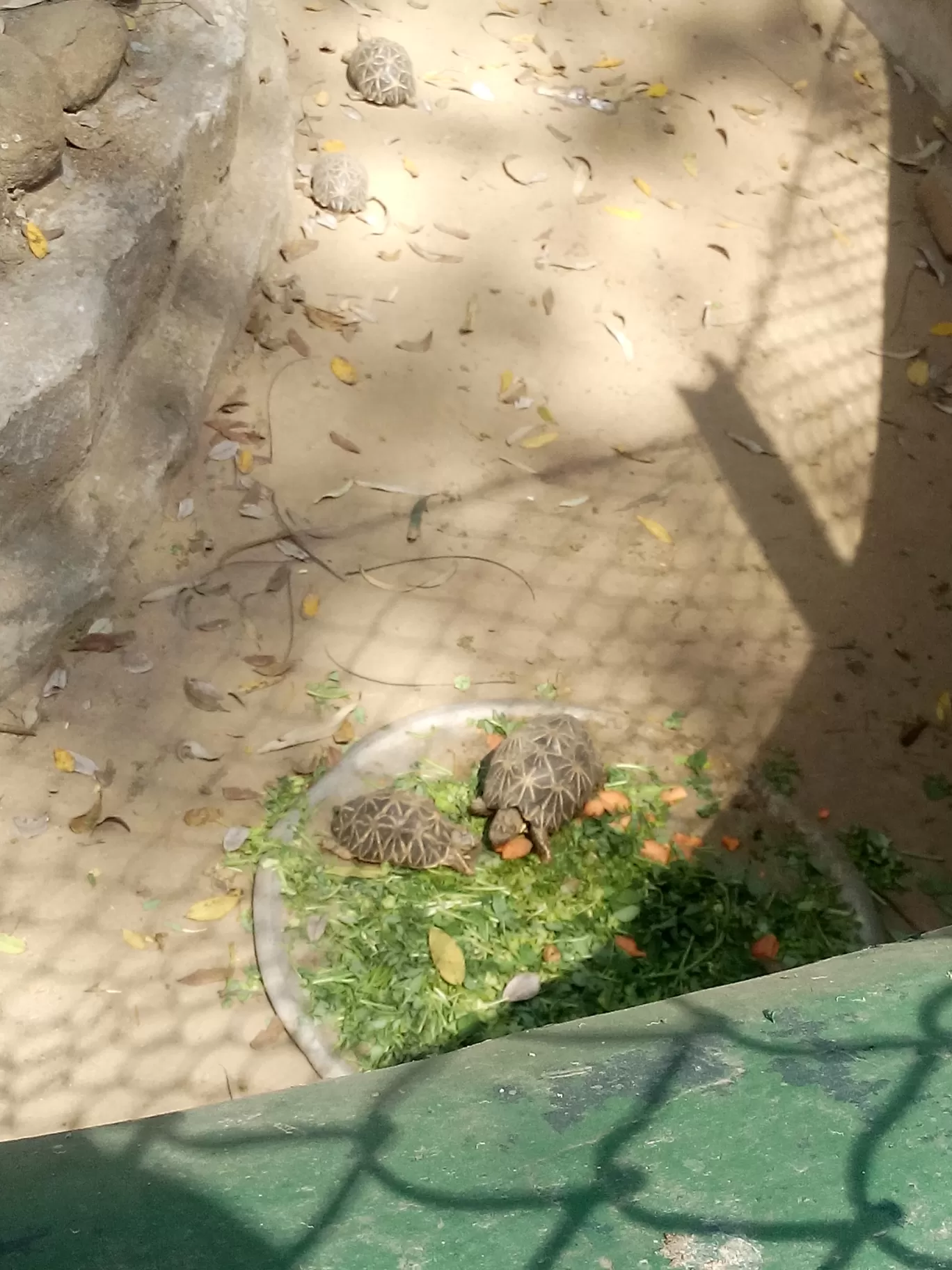 Photo of Bannerghatta Biological Park By So An