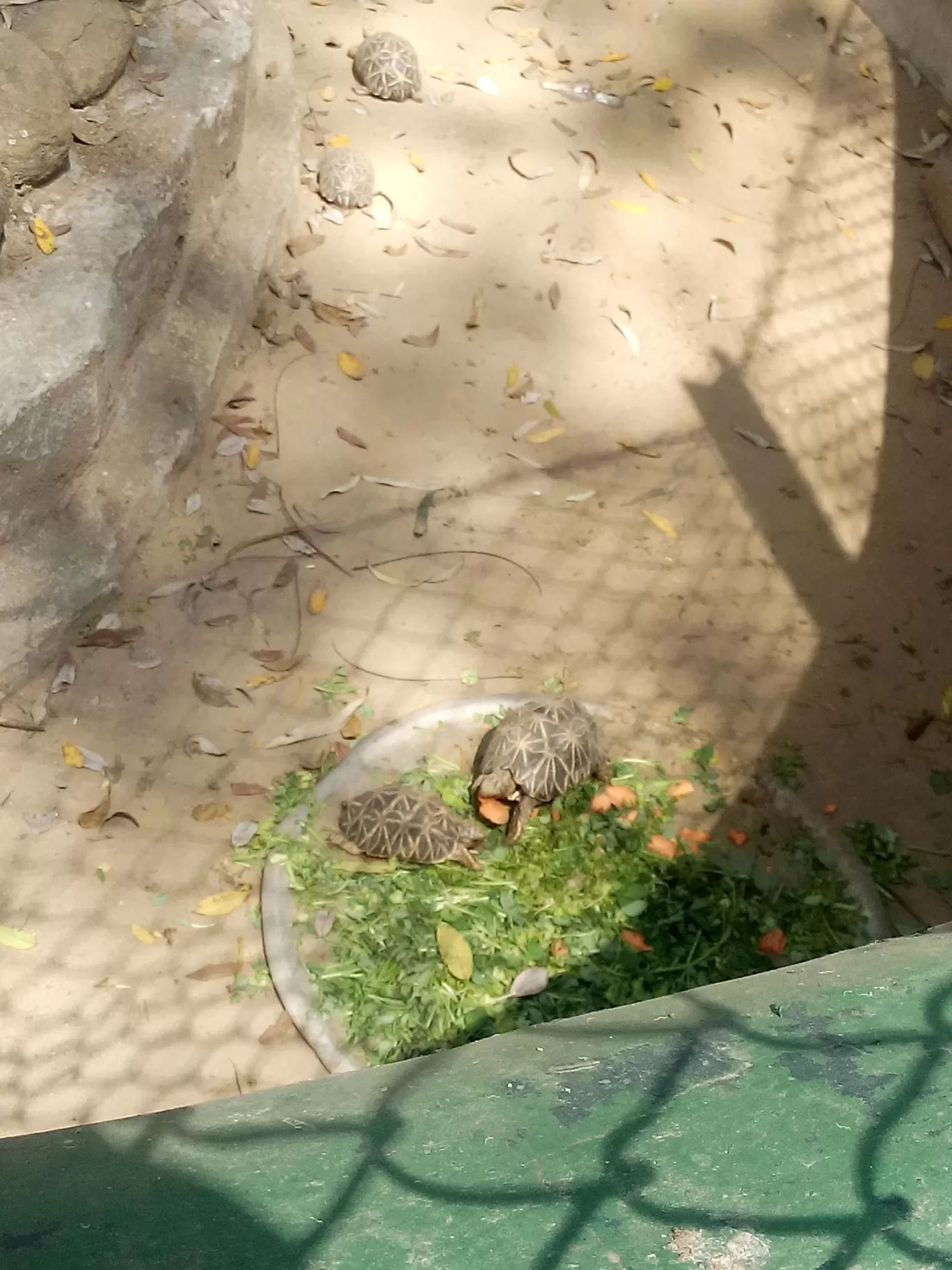 Photo of Bannerghatta Biological Park By So An