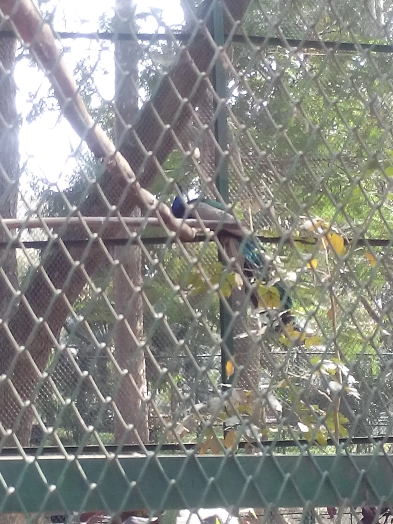 Photo of Bannerghatta Biological Park By So An