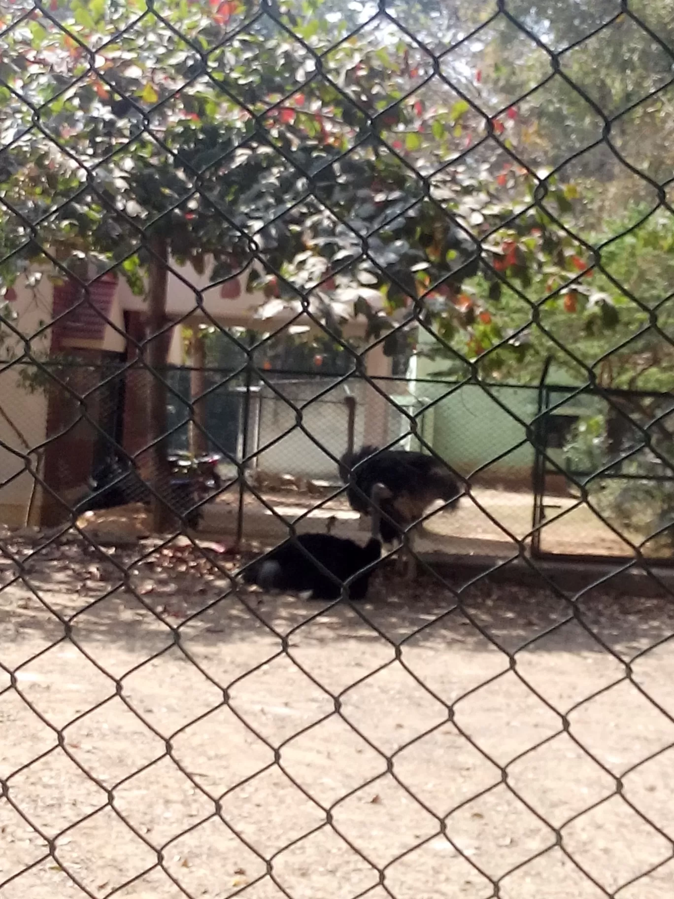 Photo of Bannerghatta Biological Park By So An