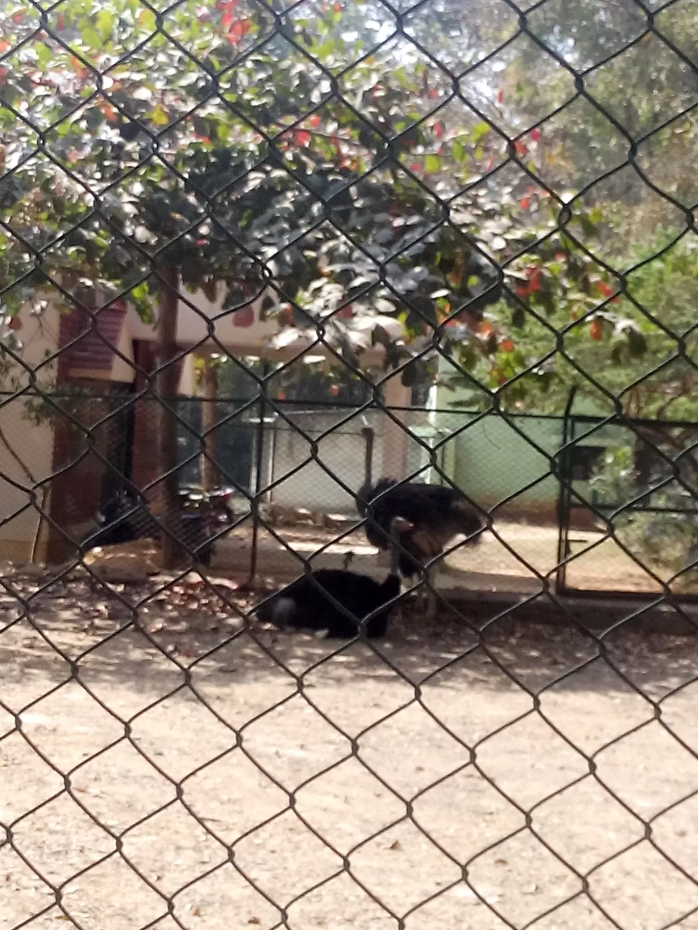 Photo of Bannerghatta Biological Park By So An