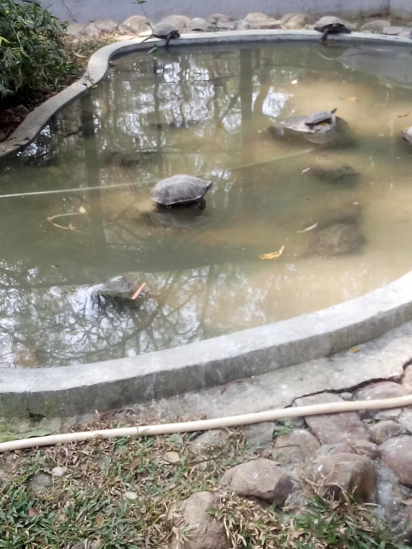 Photo of Bannerghatta Biological Park By So An