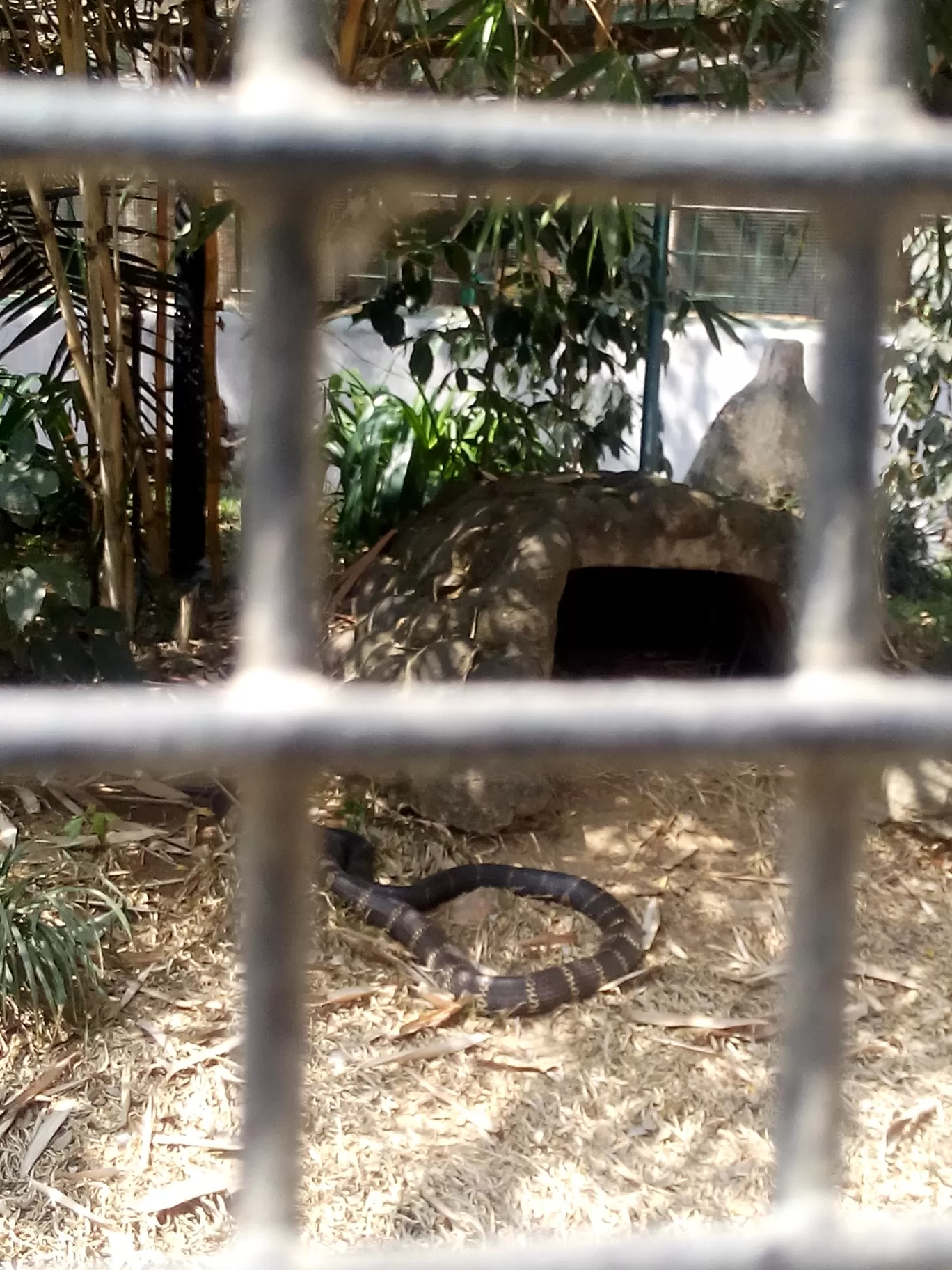 Photo of Bannerghatta Biological Park By So An