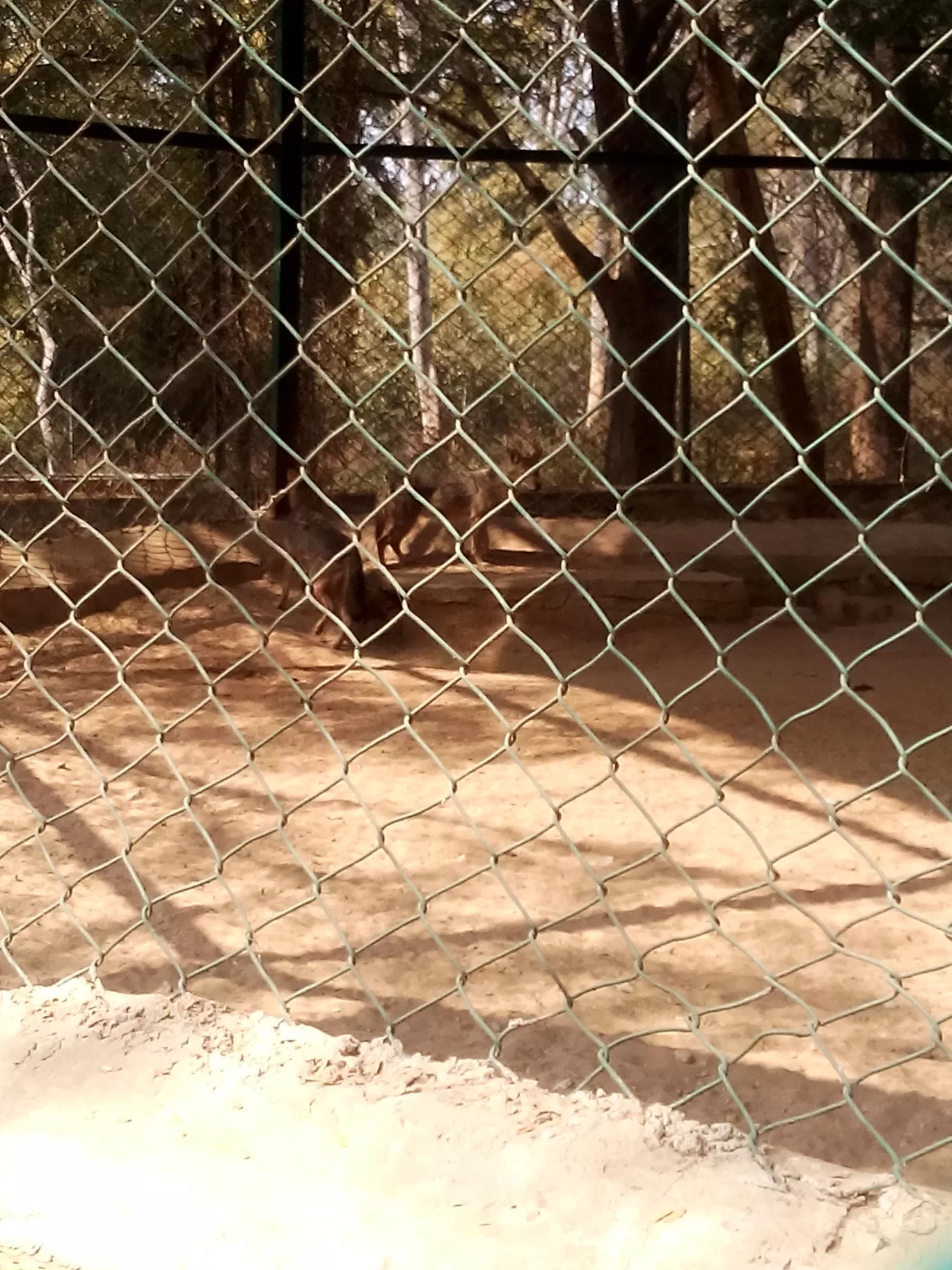 Photo of Bannerghatta Biological Park By So An