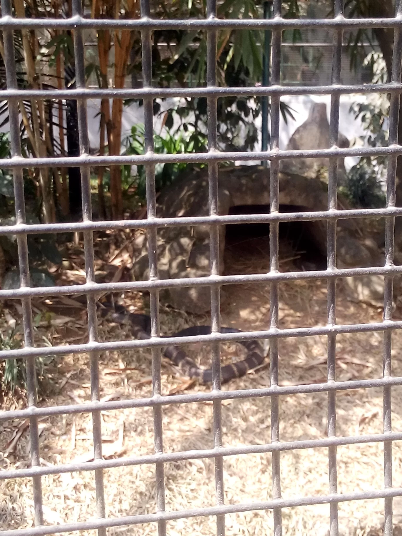 Photo of Bannerghatta Biological Park By So An