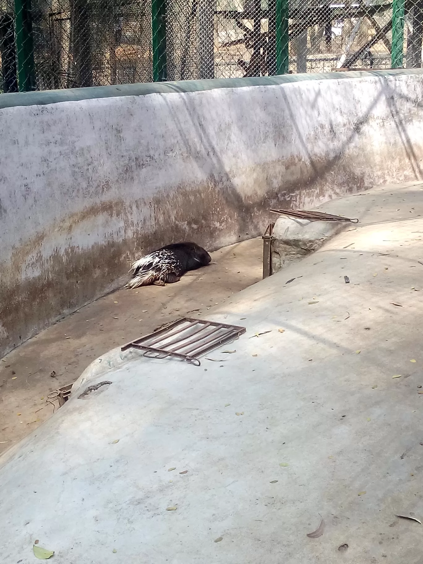 Photo of Bannerghatta Biological Park By So An