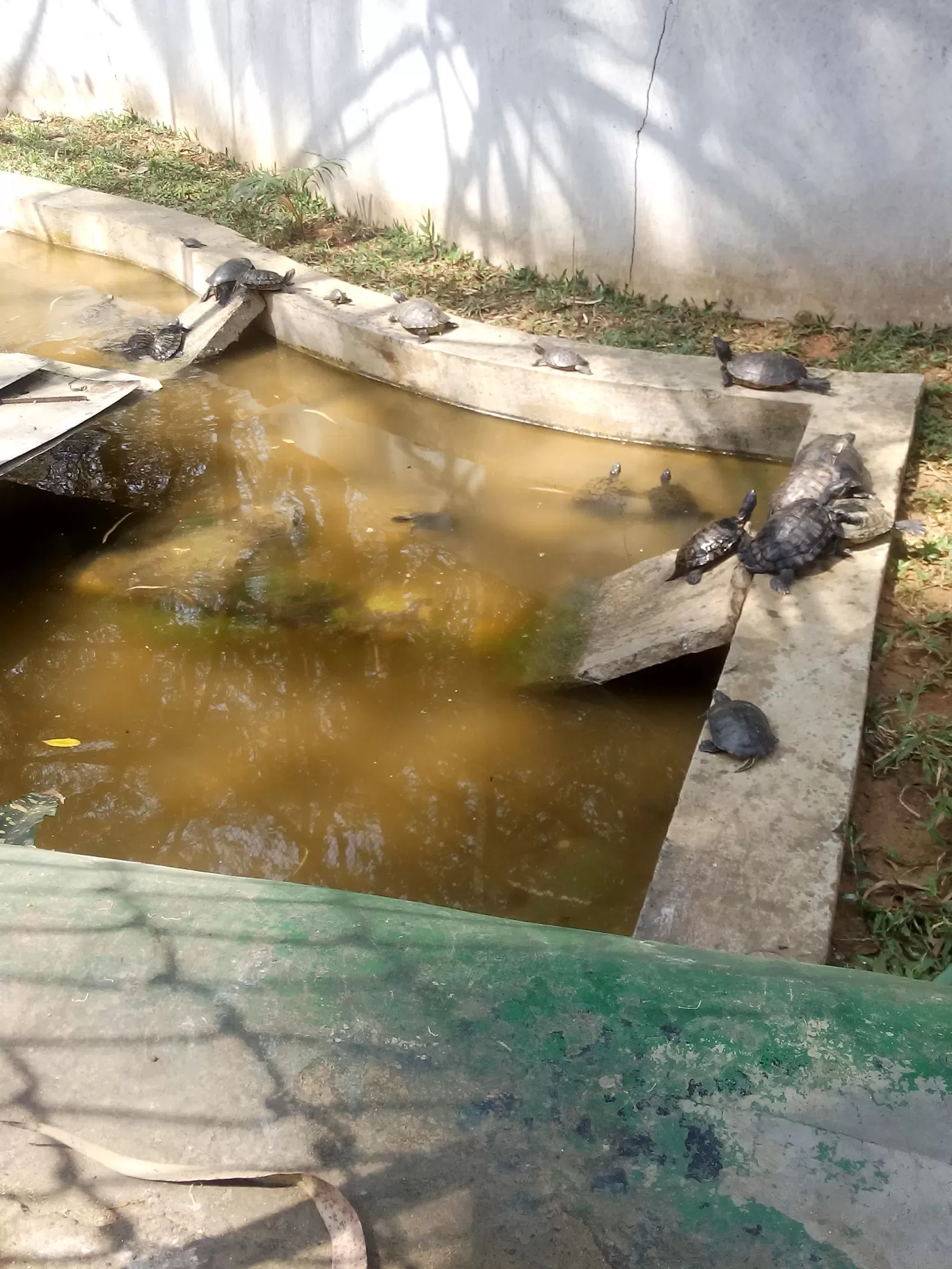 Photo of Bannerghatta Biological Park By So An