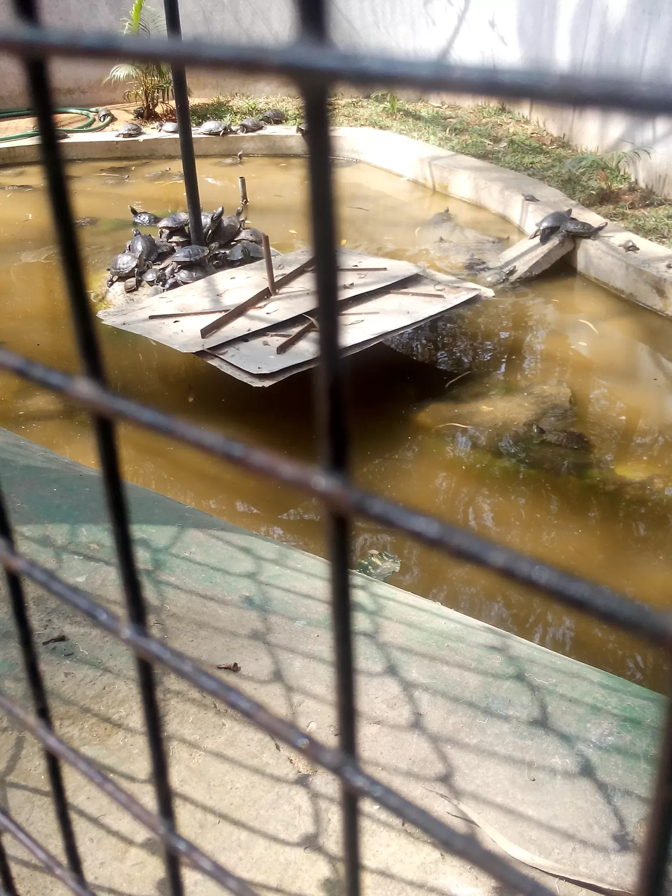 Photo of Bannerghatta Biological Park By So An
