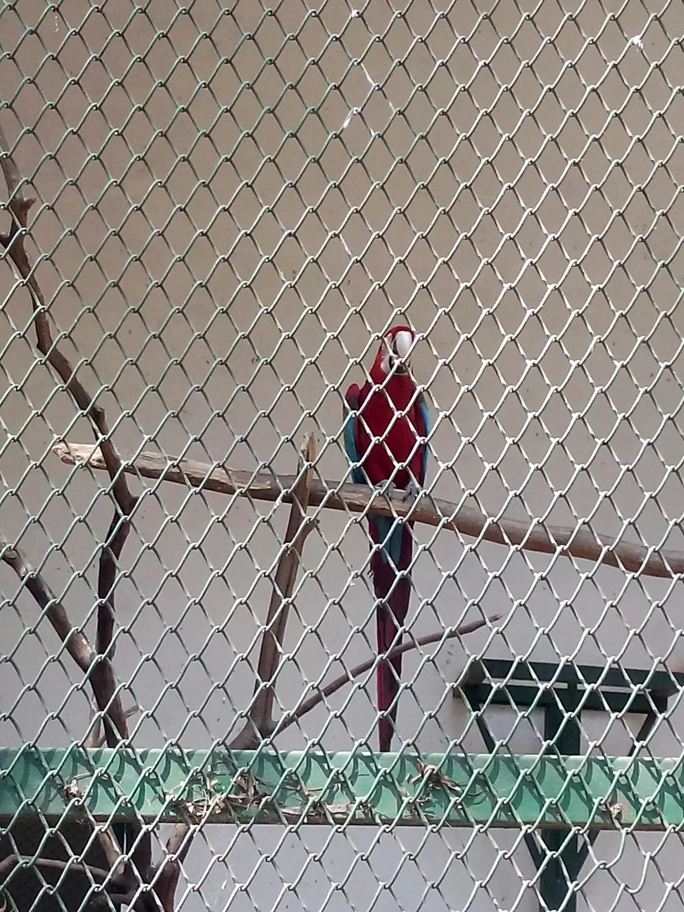 Photo of Bannerghatta Biological Park By So An