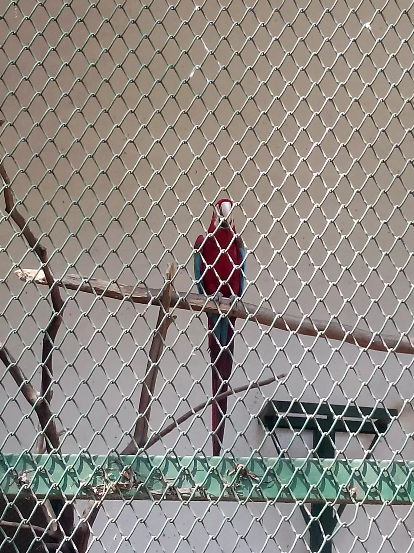 Photo of Bannerghatta Biological Park By So An