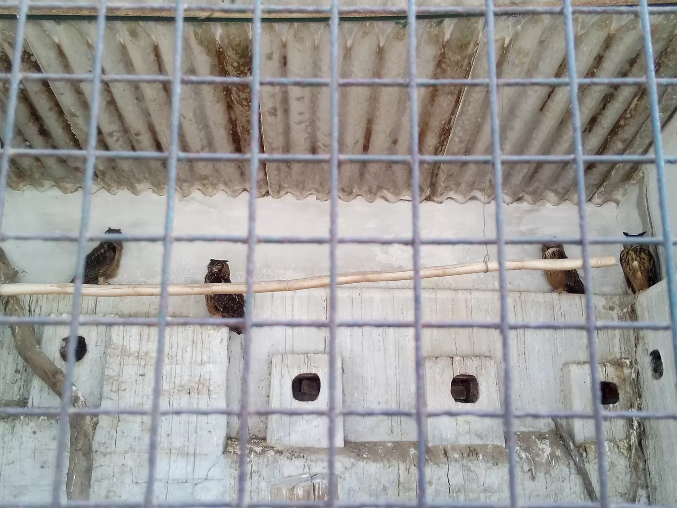 Photo of Bannerghatta Biological Park By So An