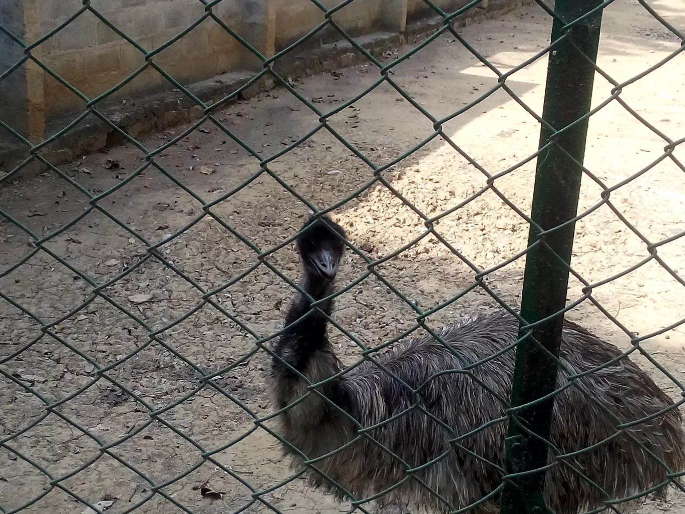 Photo of Bannerghatta Biological Park By So An
