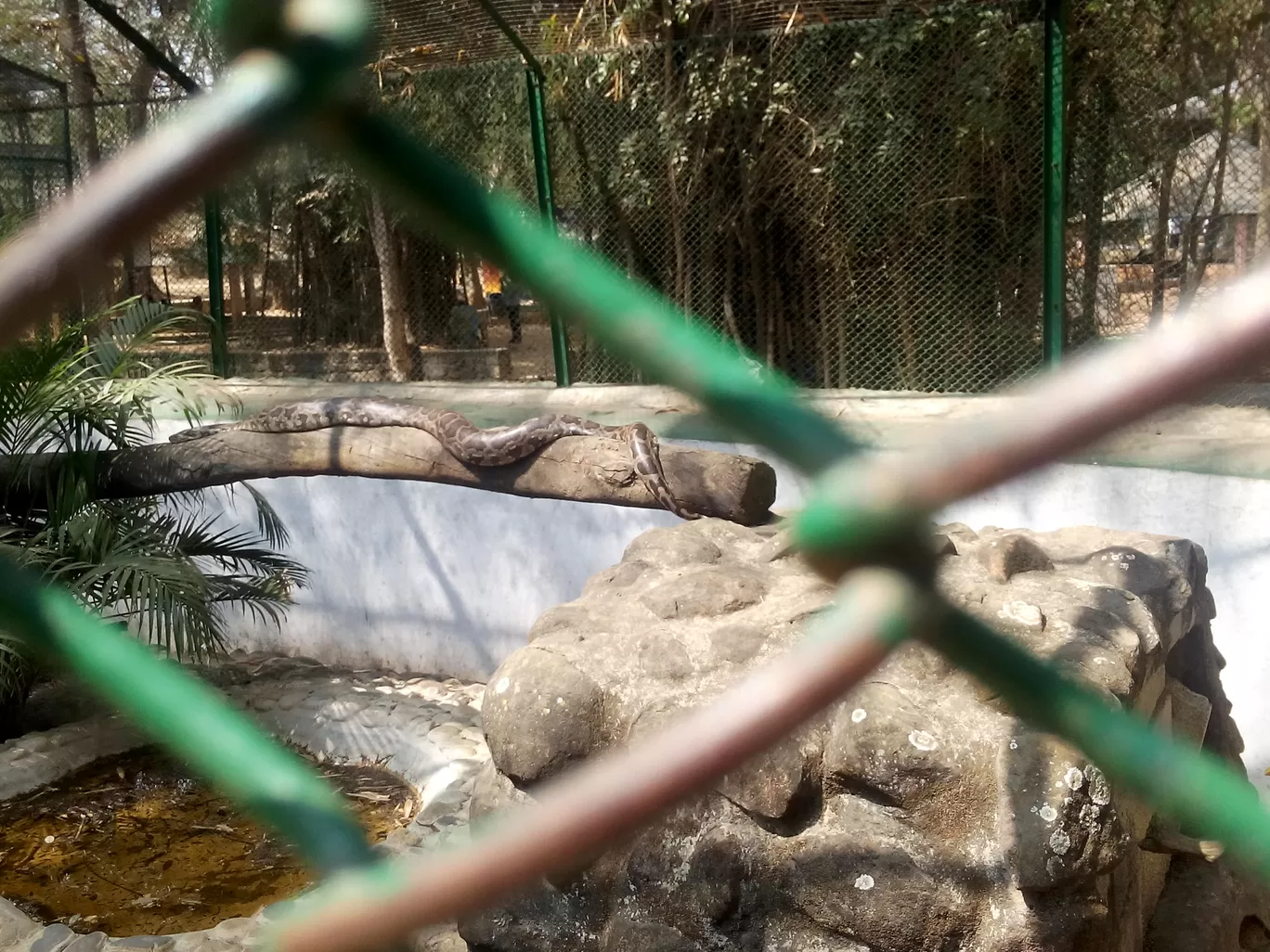 Photo of Bannerghatta Biological Park By So An