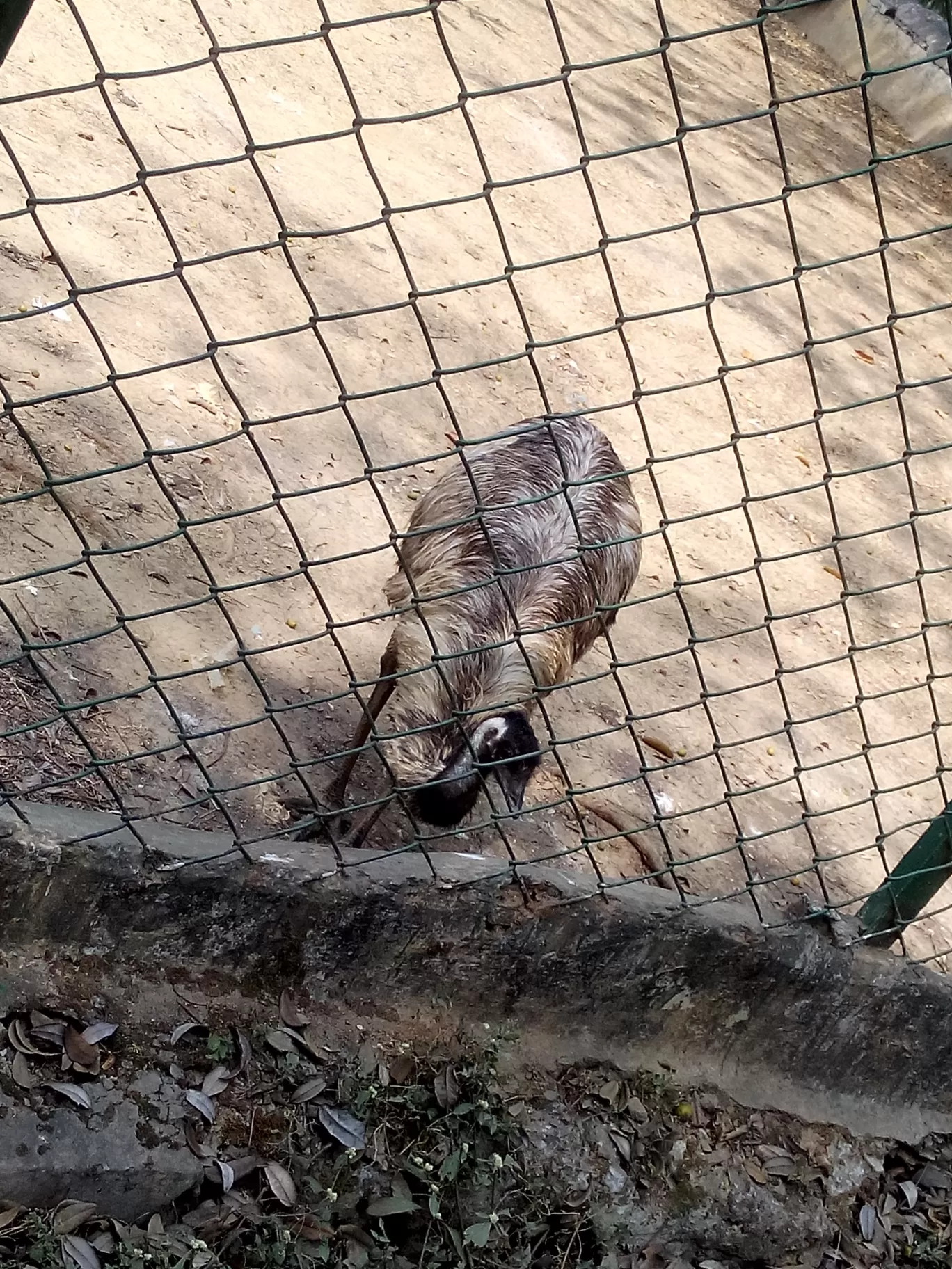 Photo of Bannerghatta Biological Park By So An