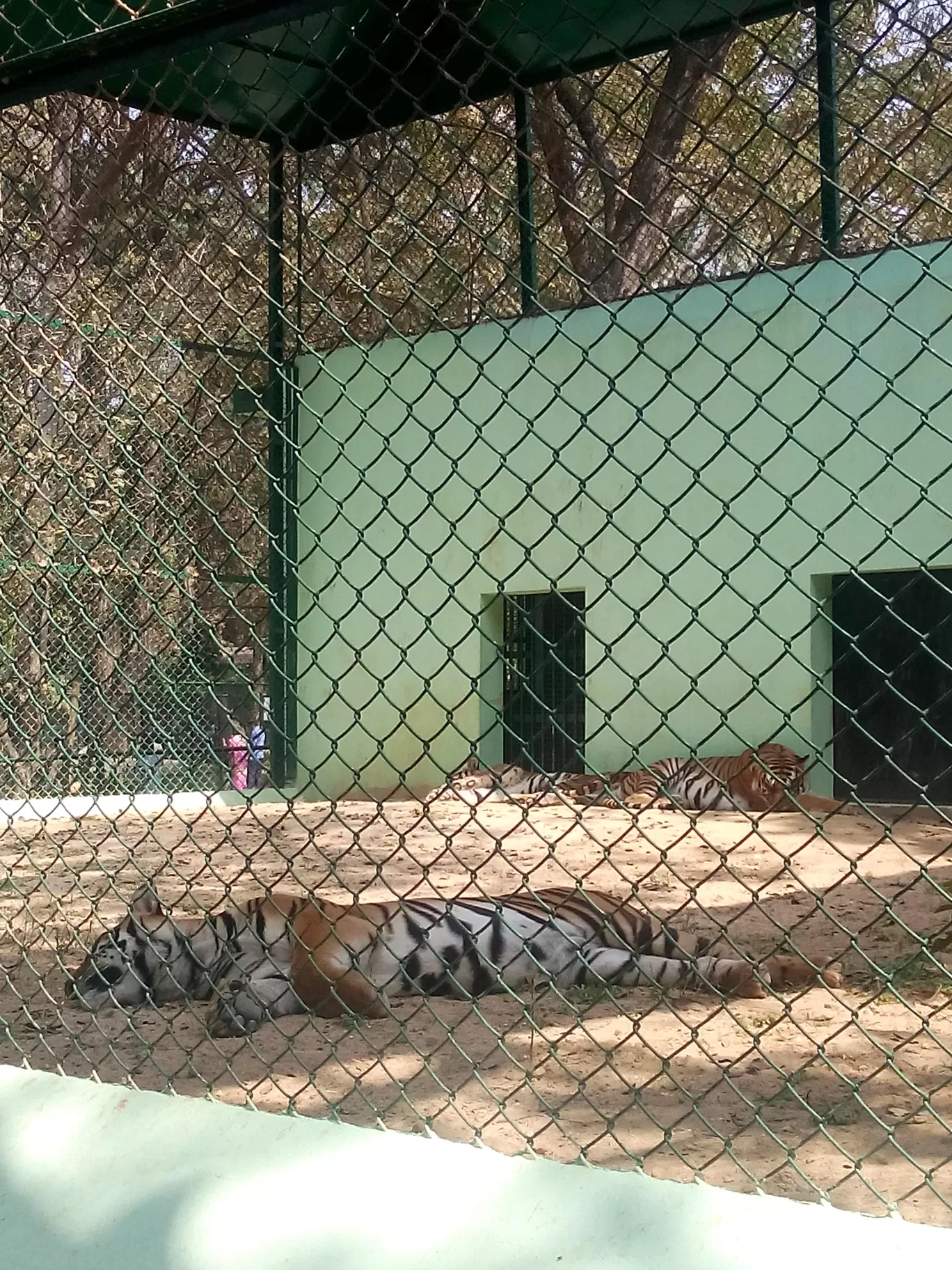 Photo of Bannerghatta Biological Park By So An