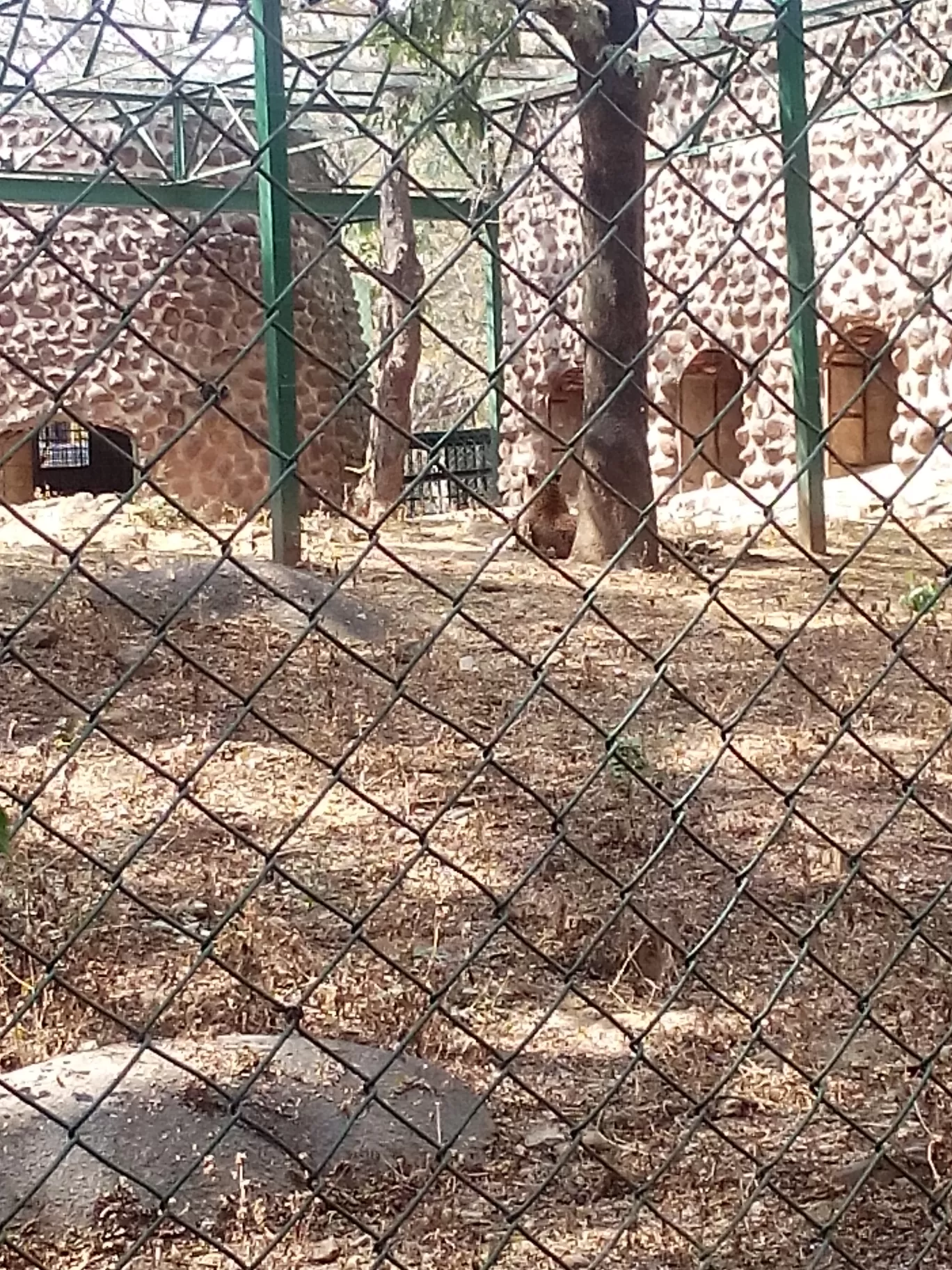 Photo of Bannerghatta Biological Park By So An