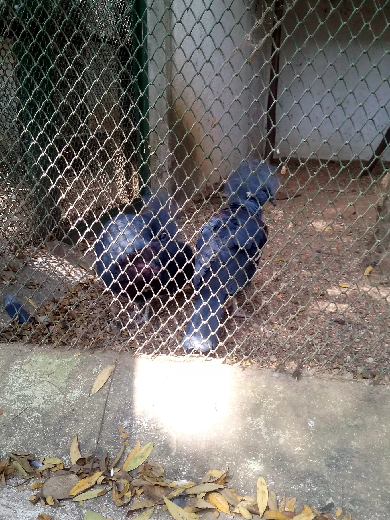 Photo of Bannerghatta Biological Park By So An