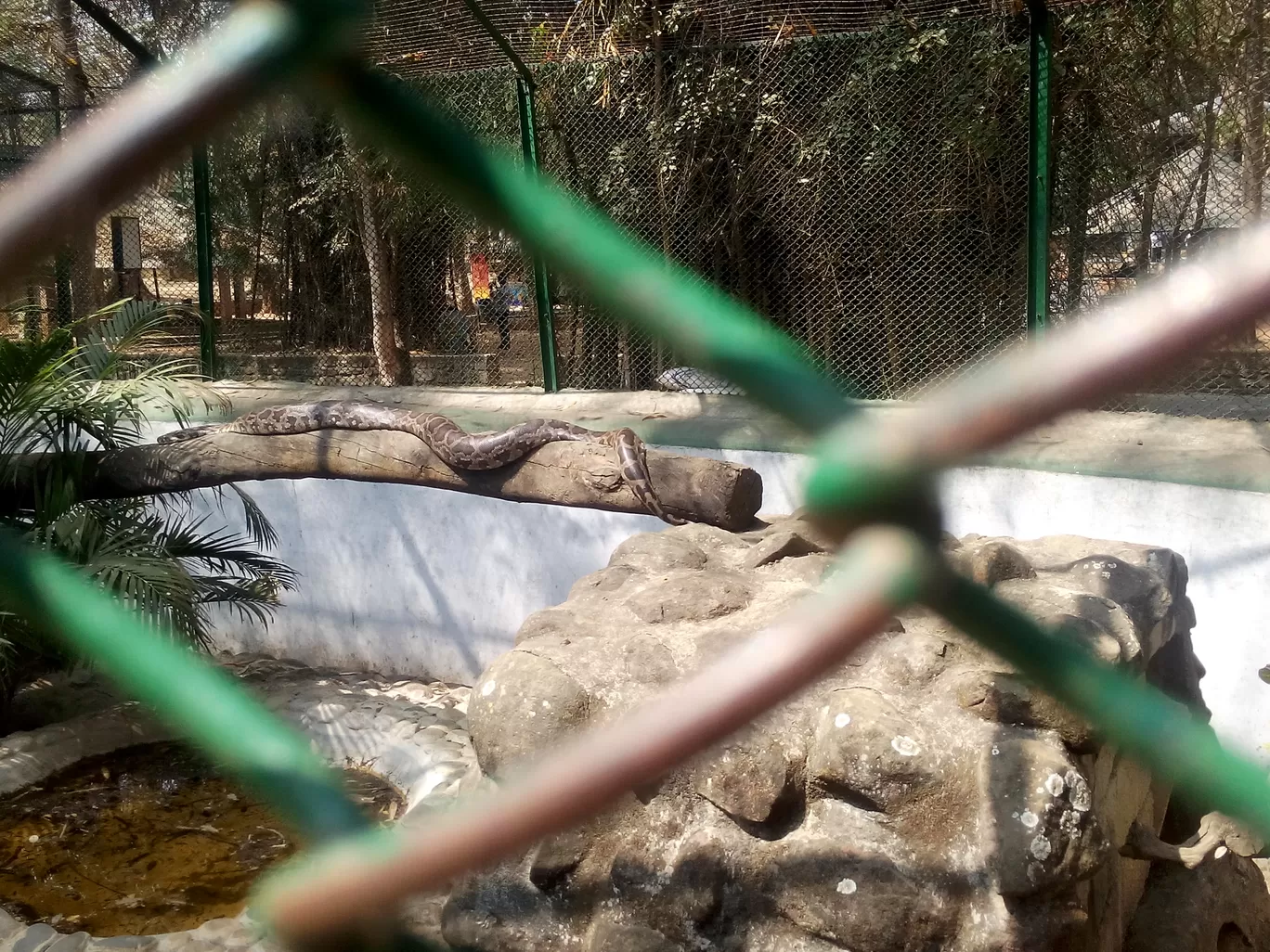 Photo of Bannerghatta Biological Park By So An