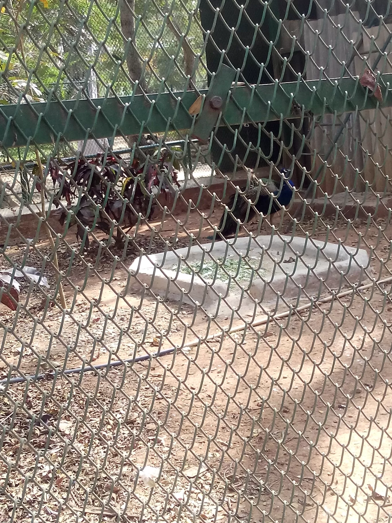 Photo of Bannerghatta Biological Park By So An