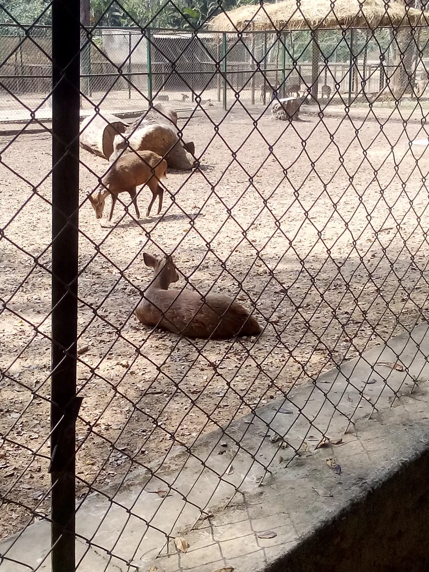Photo of Bannerghatta Biological Park By So An