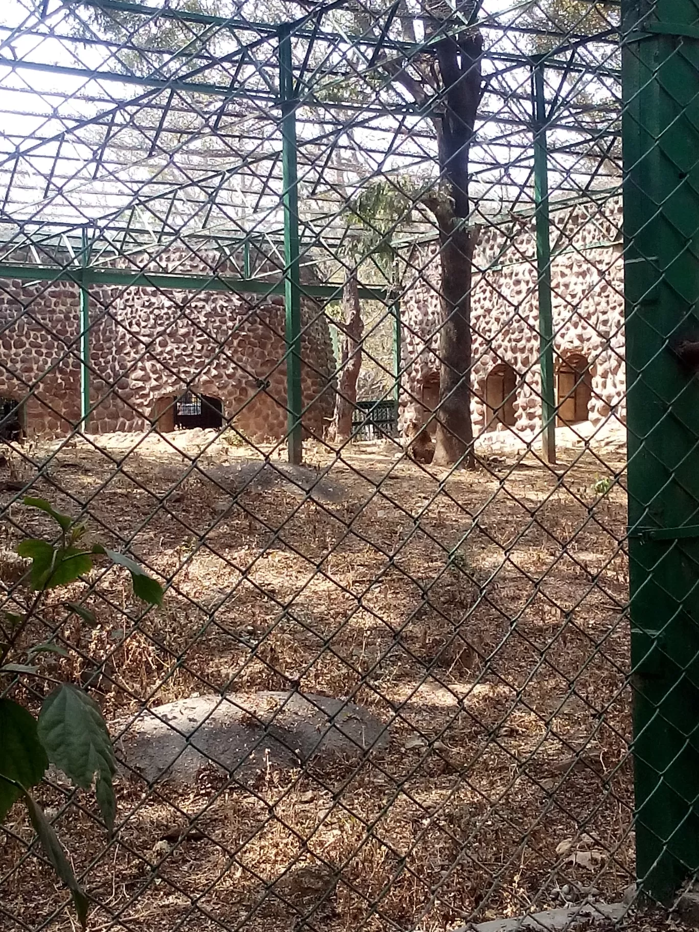 Photo of Bannerghatta Biological Park By So An